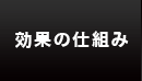 効果の仕組み